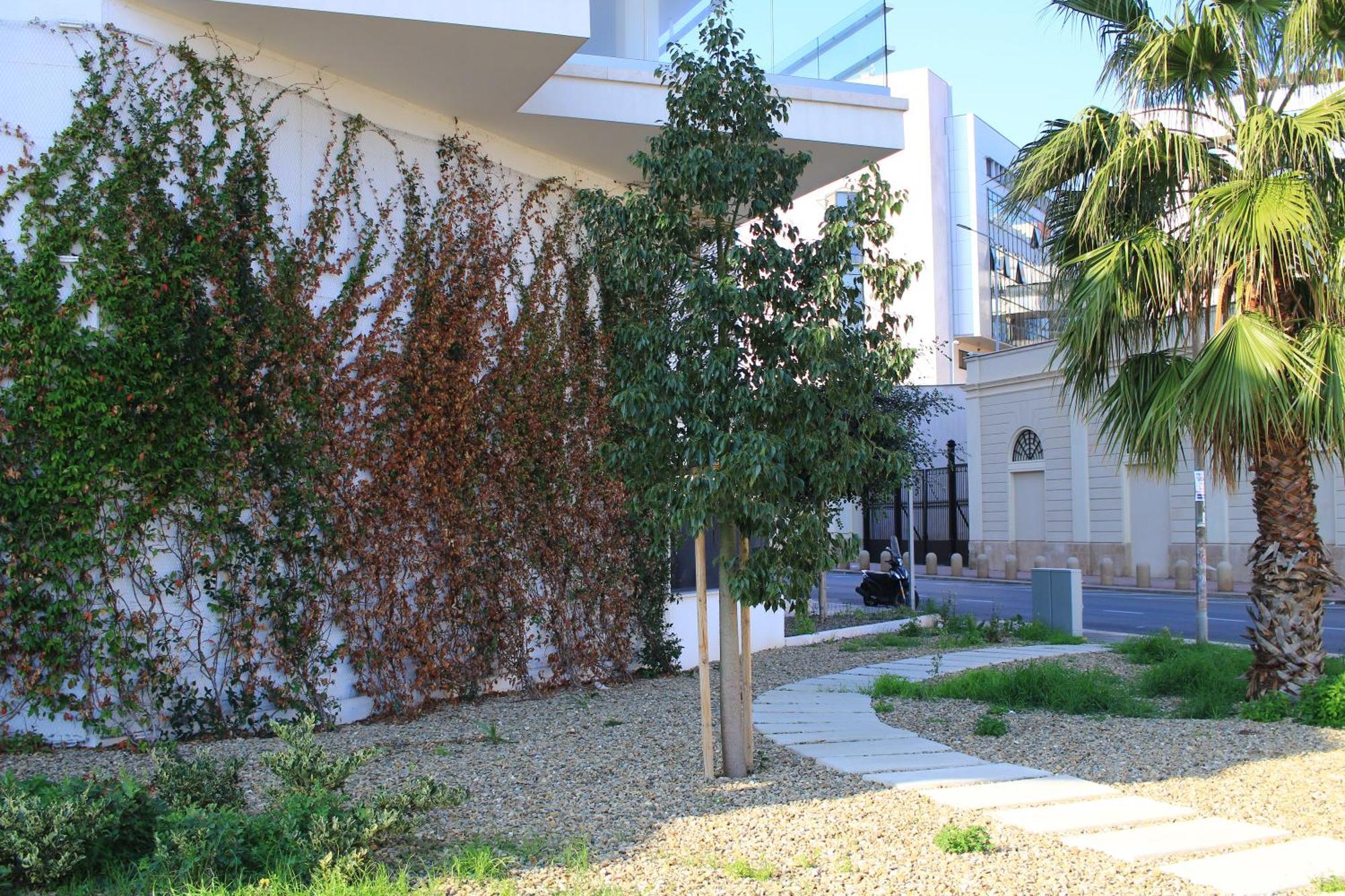 Marisabella Suite 8 باري المظهر الخارجي الصورة